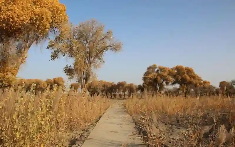 中建华会计师事务所业务全流程管窥