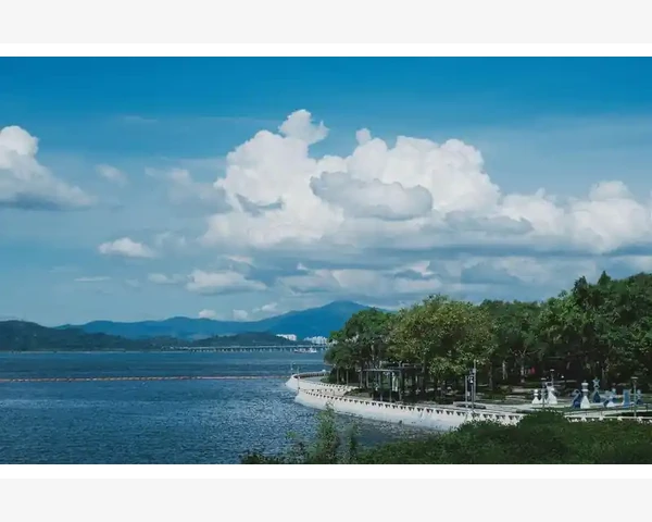 内火脾胃虚弱不容忽视，茶饮助调理